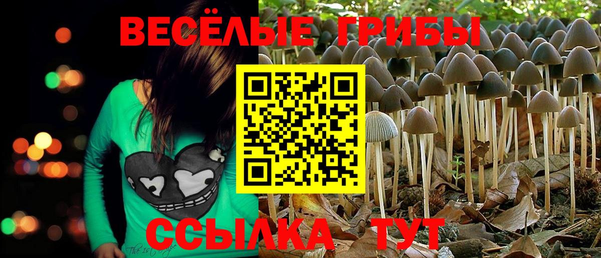 Псилоцибиновые грибы GOLDEN TEACHER Ковров